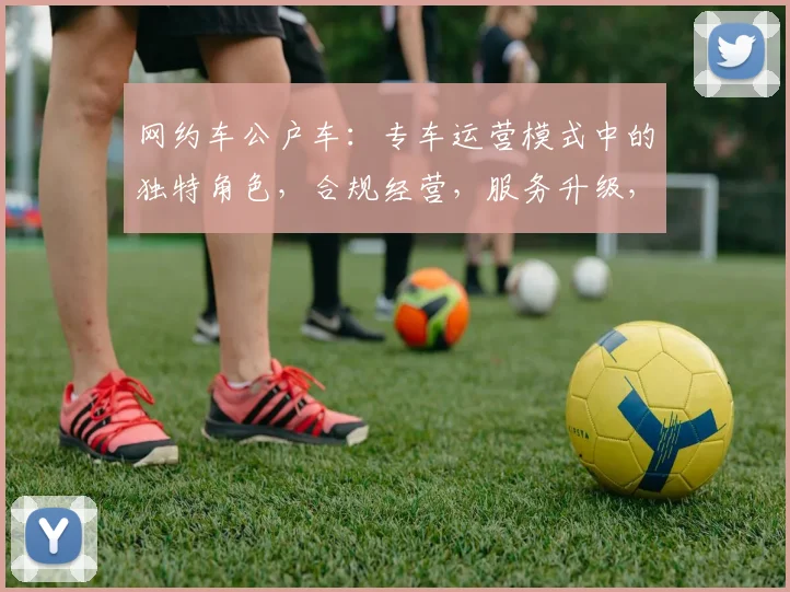 网约车公户车：专车运营模式中的独特角色，合规经营，服务升级，便捷出行三合一