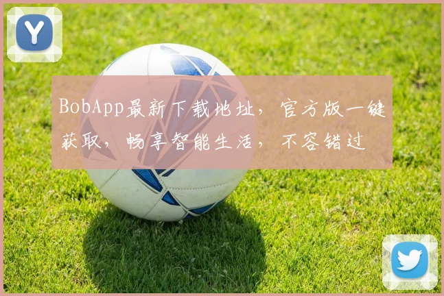 BobApp最新下载地址，官方版一键获取，畅享智能生活，不容错过