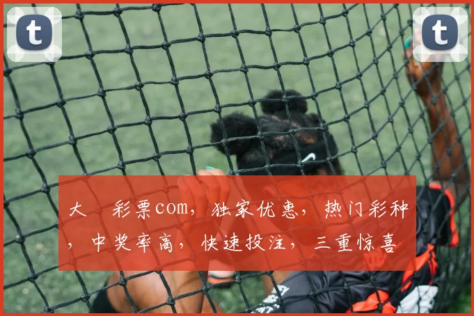 大愽彩票com，独家优惠，热门彩种，中奖率高，快速投注，三重惊喜，不容错过